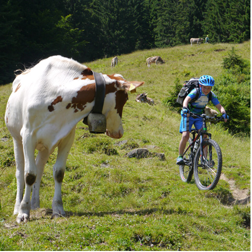 Mountain Bike Feriencamps für Kids im Allgäu